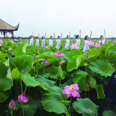 仲夏时节,莲花镇西山下村五色莲花塘,早已青荷盖绿水,芙蓉披红鲜.