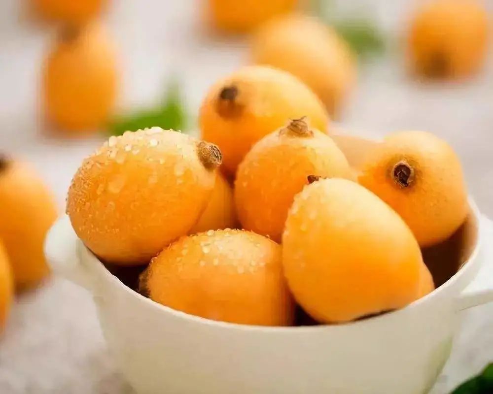 国家级大咖为兰溪枇杷代言他说从小爬枇杷树长大