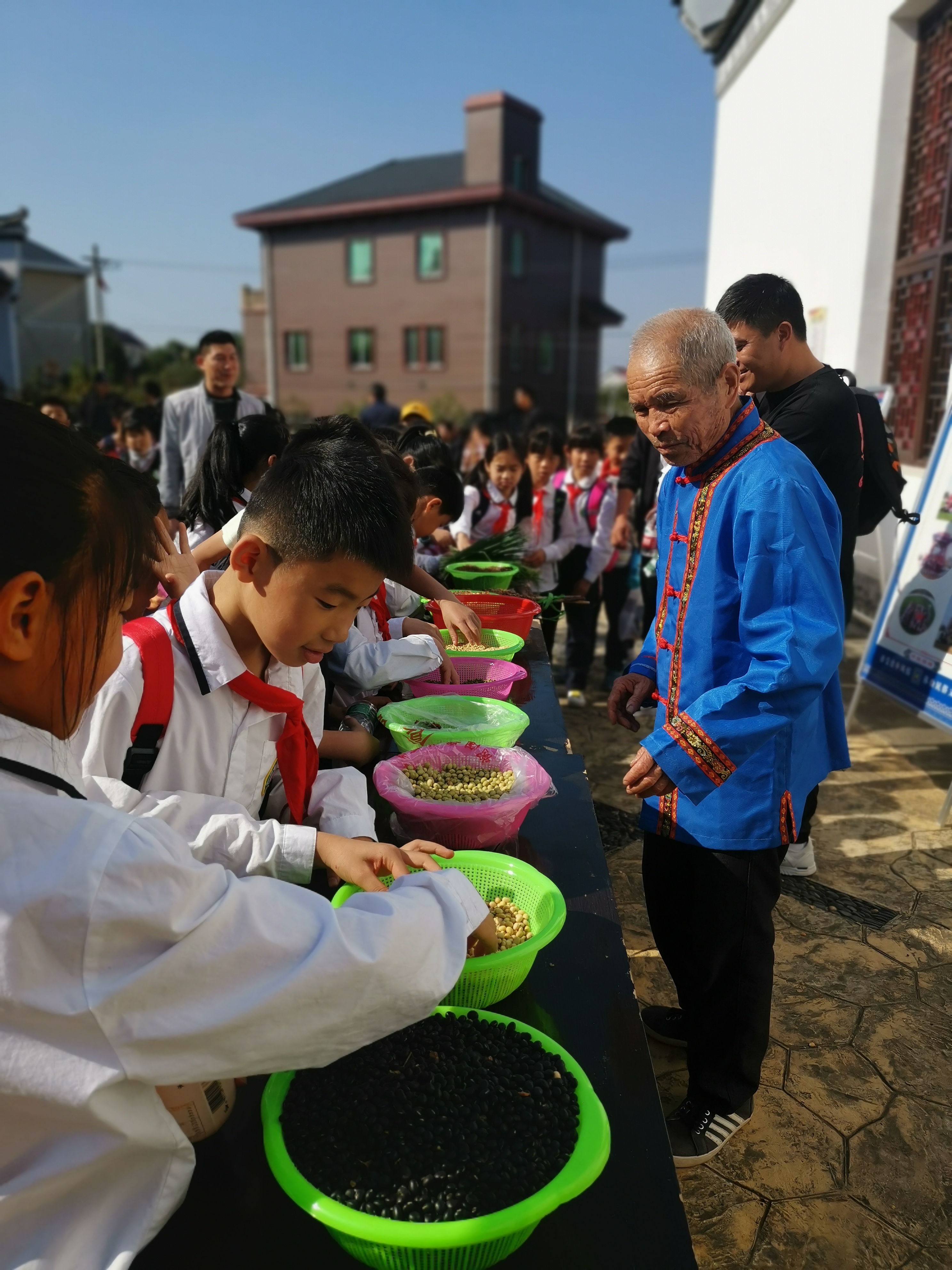 兰溪兰花小学图片