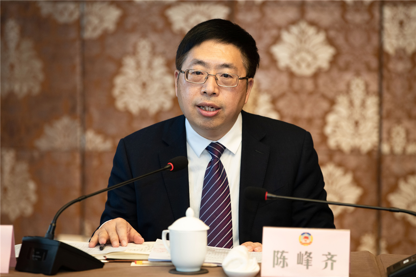 陈峰齐在参加政协联组讨论时强调画好最大同心圆携手奋进新征程