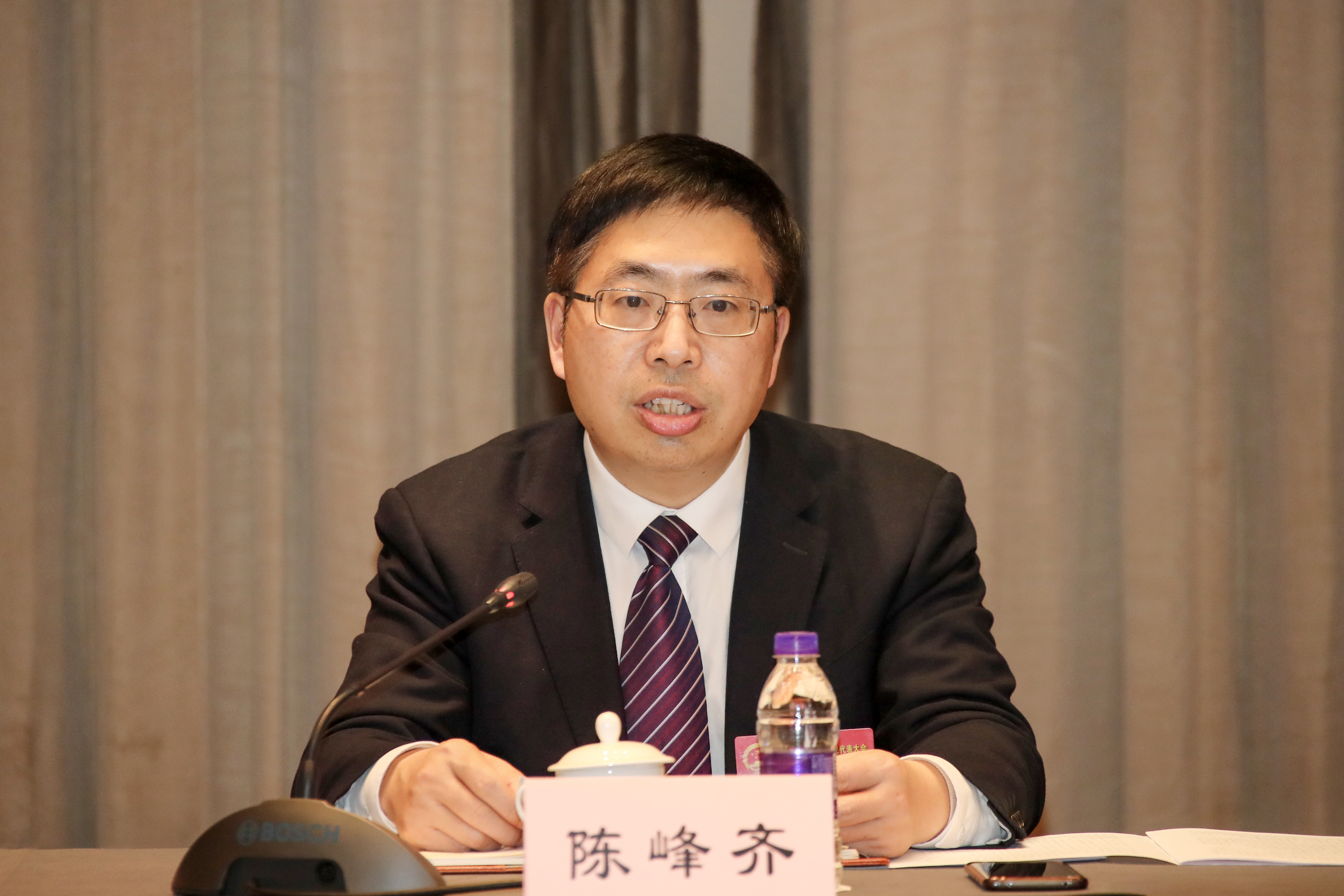 陈峰齐在参加人大代表团分团审议时强调:攻坚克难担当作为 奋力推动高