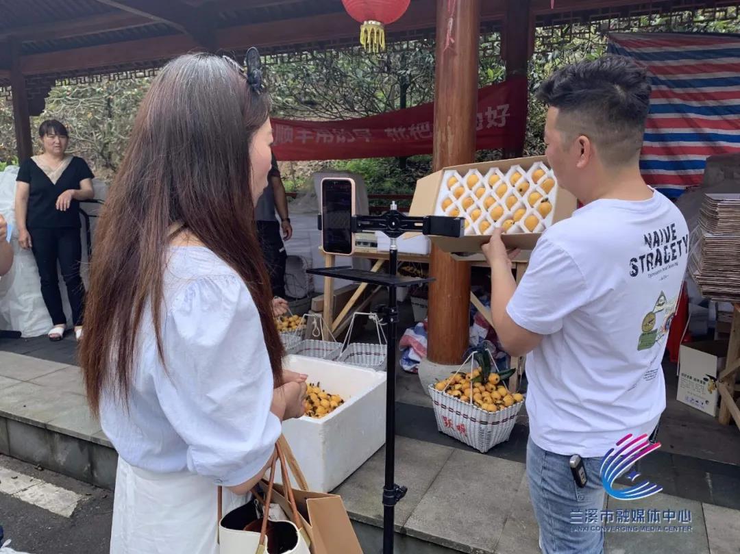 第十届全国枇杷学术研讨会暨兰溪枇杷节亮点纷呈