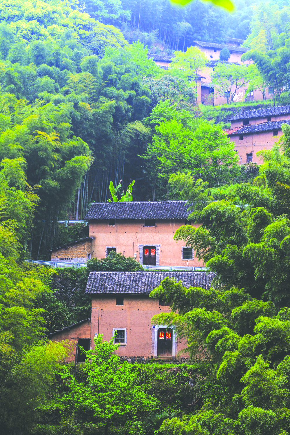 争先率先共富同行马涧绘制美丽城镇新图景