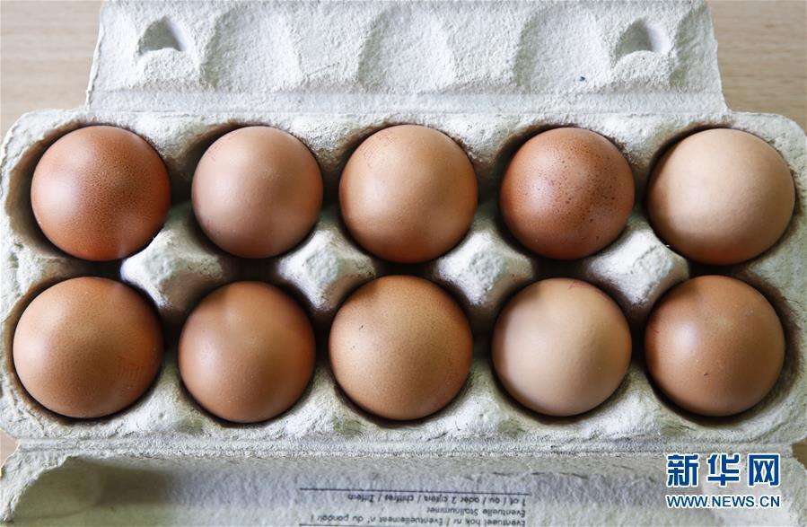 蛋壳颜色越深鸡蛋越有营养？吃鸡蛋别入这些误区！