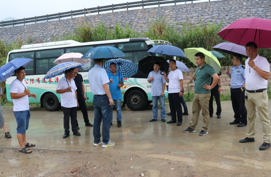 温溪镇人大组织县,镇人大代表开展视察活动