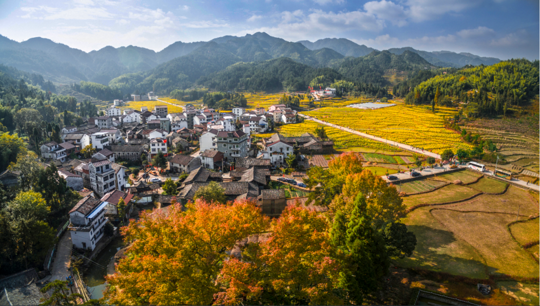 青田又多了一个新名字——"省级农业绿色发展先行县"!