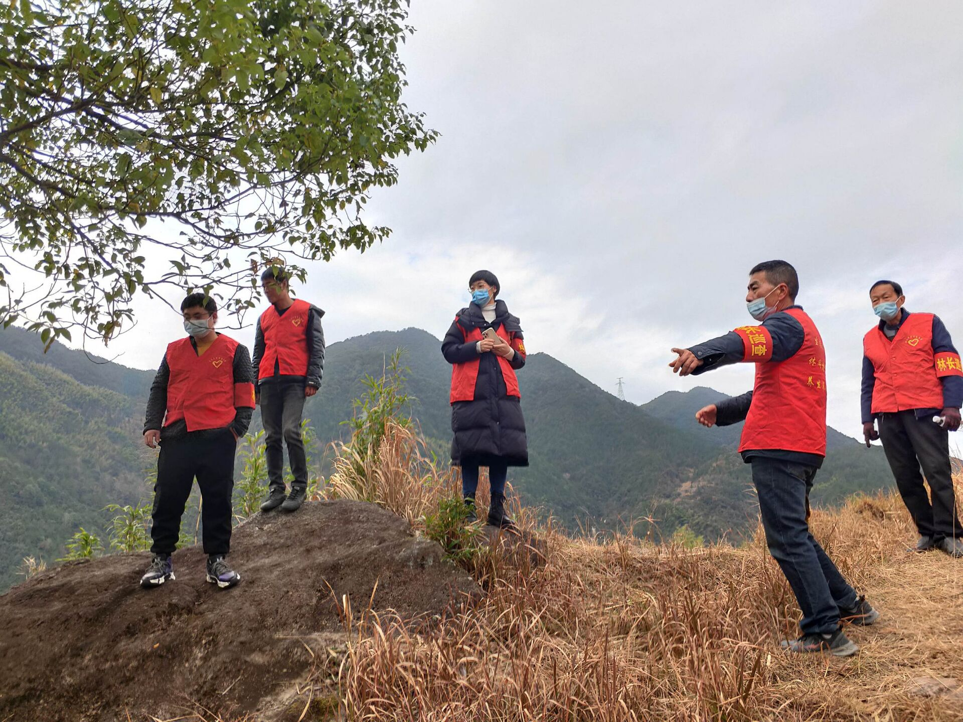 贵岙乡塘后村发挥党员先锋作用 推出"支部 义务林长制"-青田网