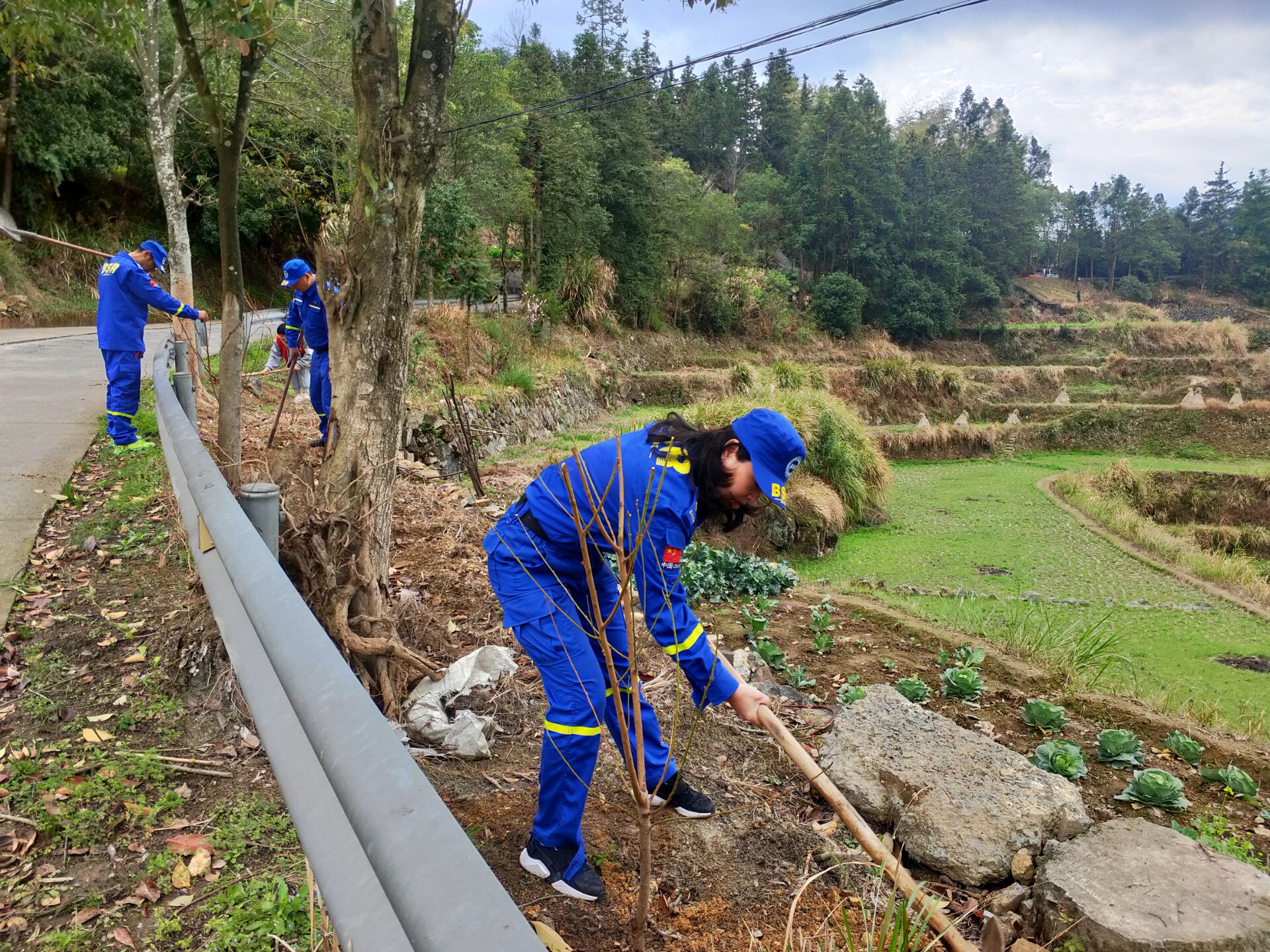 贵岙乡塘后村发挥党员先锋作用 推出"支部 义务林长制"-青田网
