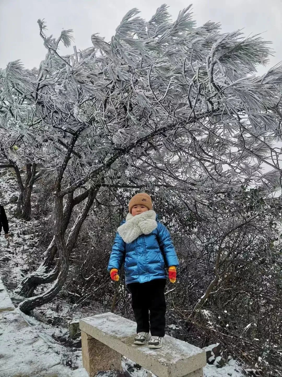 雪景青田人看雪07阜山鄉06章旦鄉05仰天湖04師姑湖03金雞山02丁公尖01