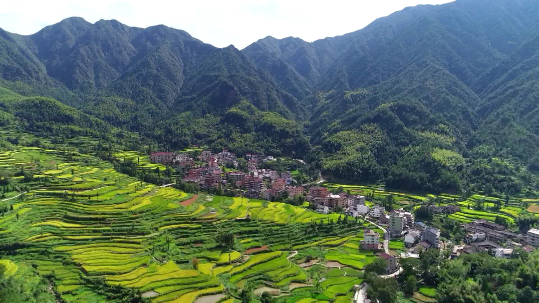 青田县农业文化遗产保护与发展联合会成立