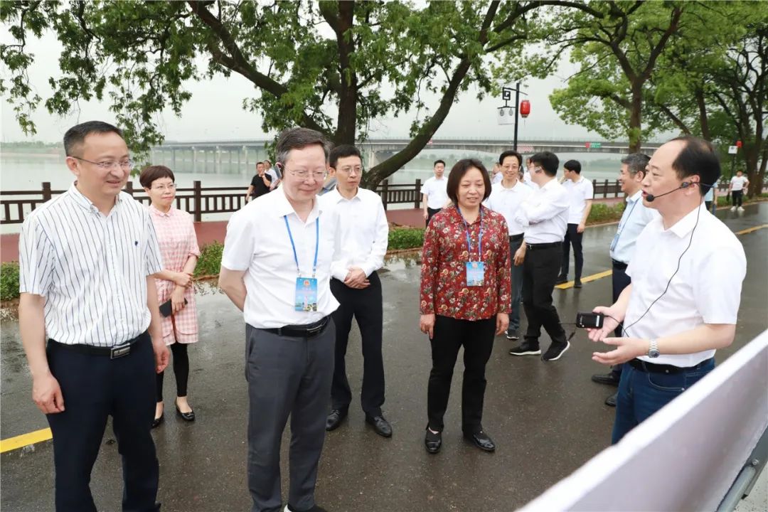 市人大常委会来龙视察,聚力"衢州有礼"诗画风光带建设-龙游通