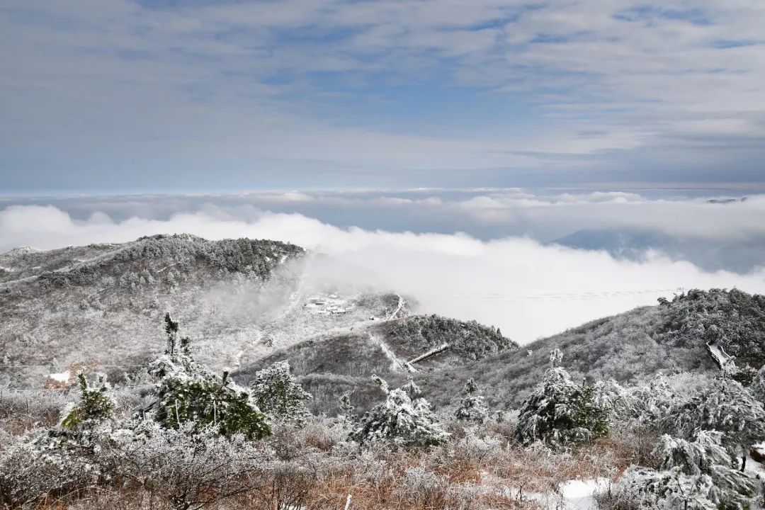 美景預告!白雪已經重新掛滿六春湖山頭