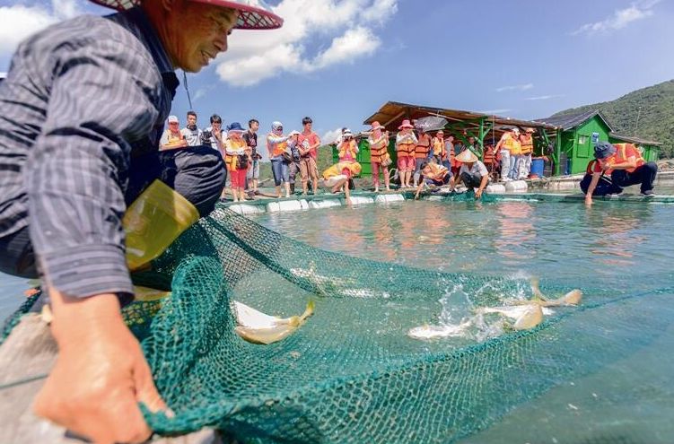 象山一大批村庄获得省级荣誉,有你家村子吗?