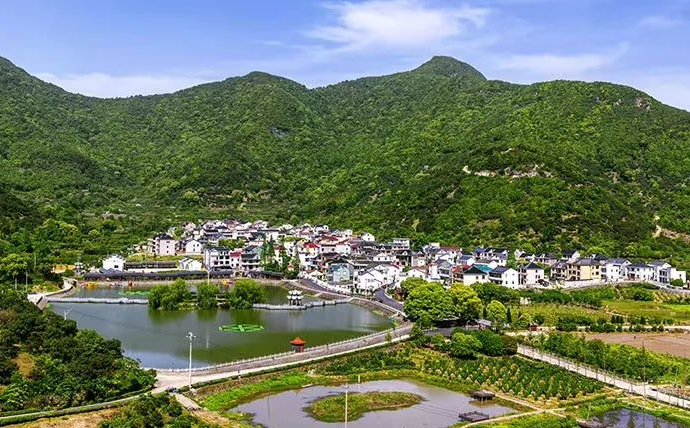 墩岙村:管好集体钱袋子 给村民一本"明白账"