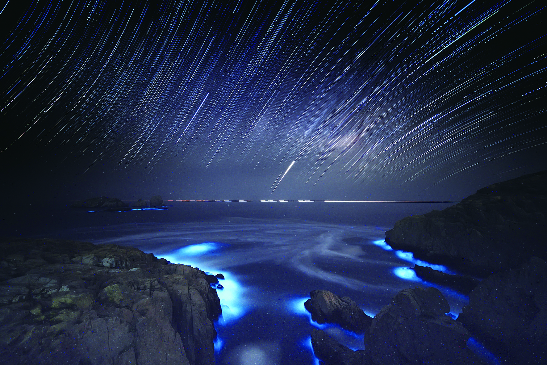 生物沿着蜿蜒的海岸线在礁石边一点点聚集,凝成一圈流动着的荧光蓝