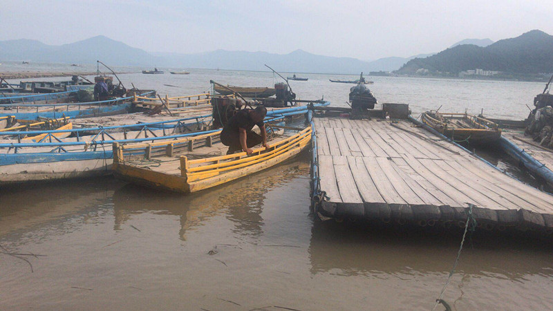 黄避岙乡养殖排筏管理有妙招