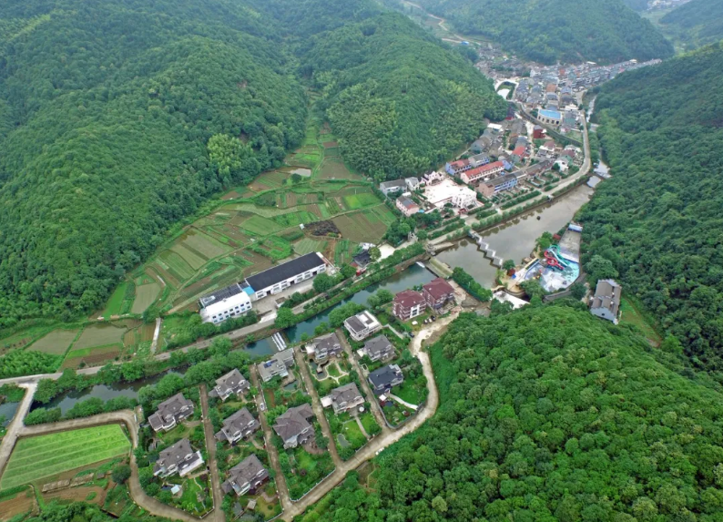 象山县黄避岙乡