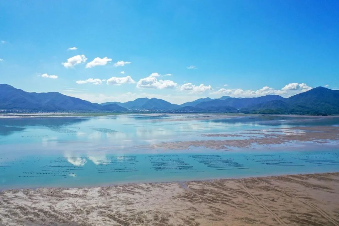 象山人家滩涂乐共享纯朴好时光