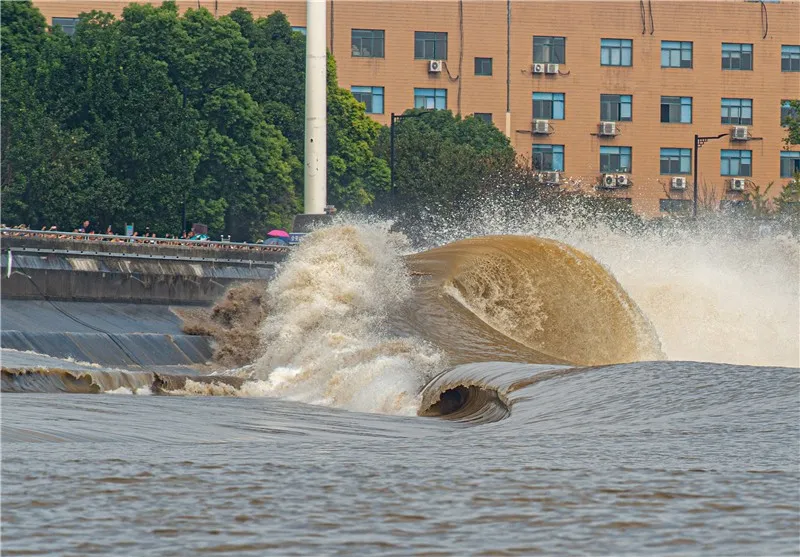 今天八月十八大潮,潮差较去年偏大!这8个观潮点最危险