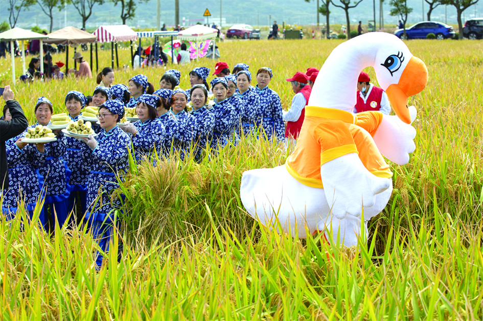 象山新闻门户网站