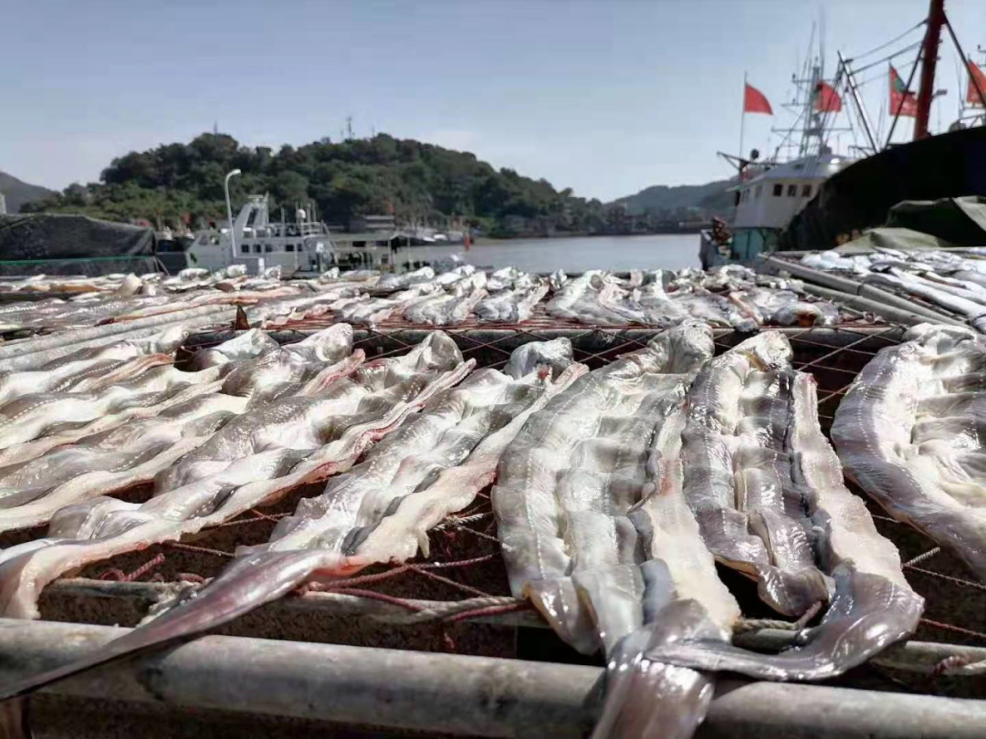 肉质细嫩,口味鲜美,一道鱼鲞烧肉,更是充满了当地人儿时满满的味蕾