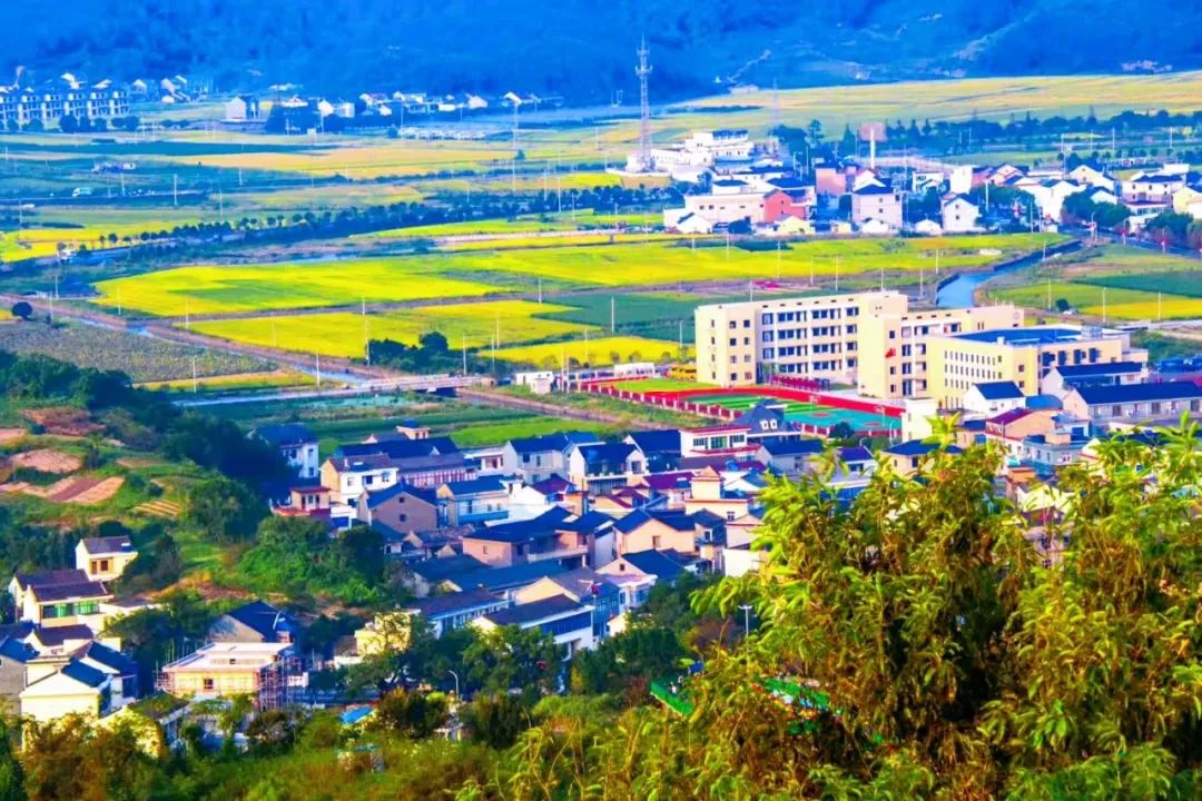 美丽乡村示范村四:黄避岙乡龙屿村