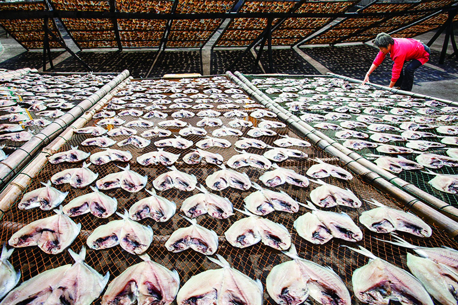 晒鱼鲞虾干紫菜苔条 把冬天"晒"成了风景