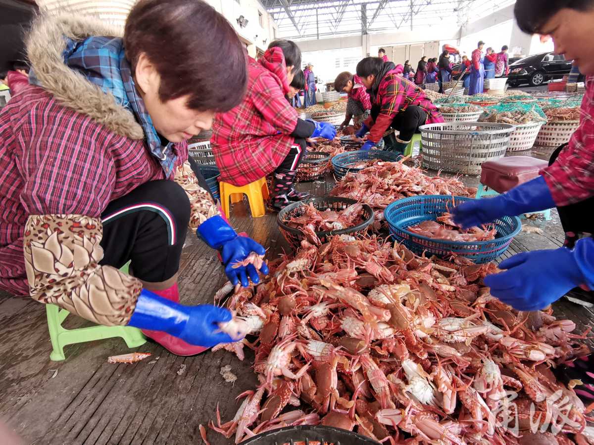 鲜活虾蟹身价节节高,海鲜行情"冰火两重天"