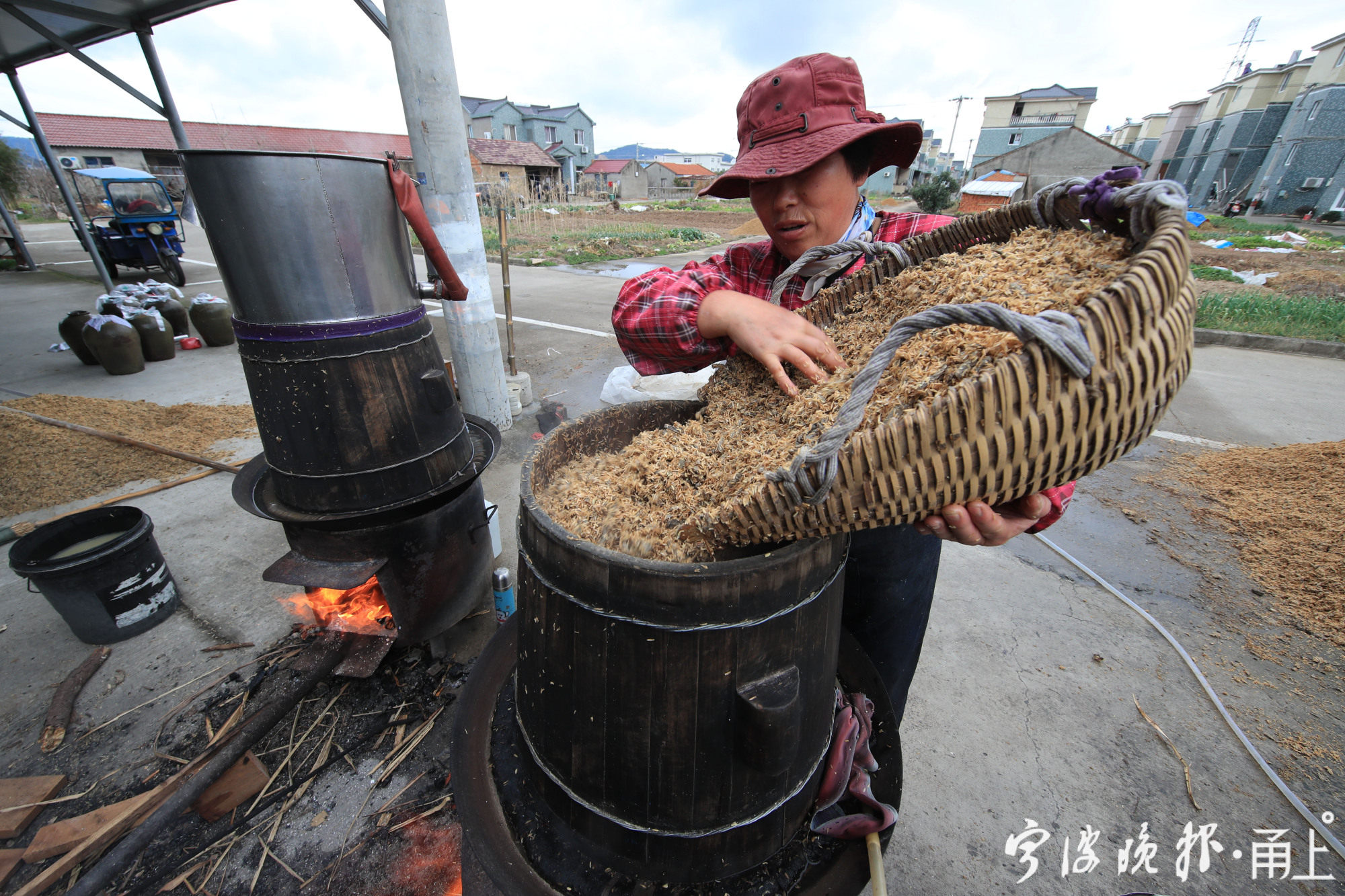 賴綠英把摻了稻米殼的酒醅放入木甑裡上鍋蒸.