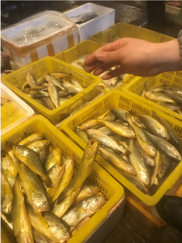 鲳鱼780一条!记者探访节前宁波海鲜批发市场