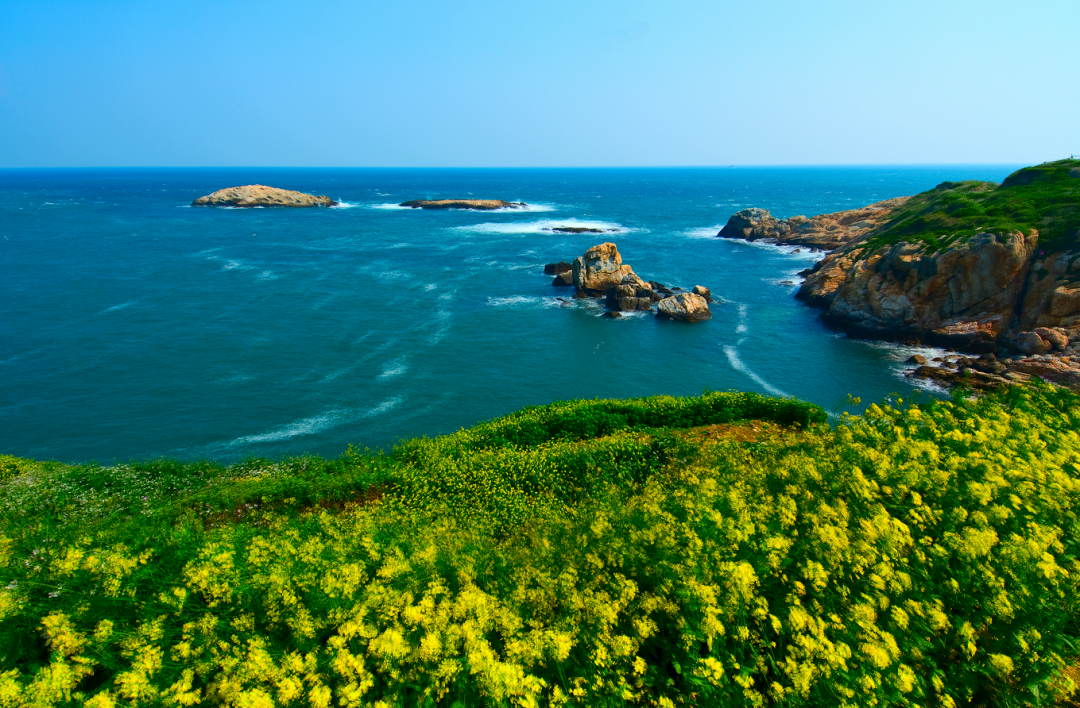 梅花,櫻花,油菜花……象山四季賞花攻略來了!