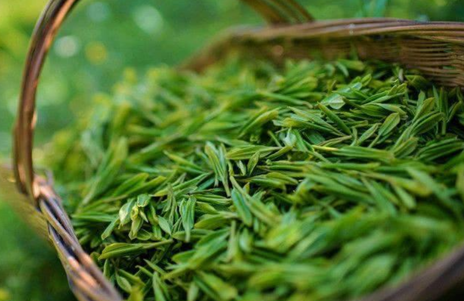 "鄞州区一家名为悟念茶馆的老板严先生表示,"乌牛早是绿茶中采摘最早