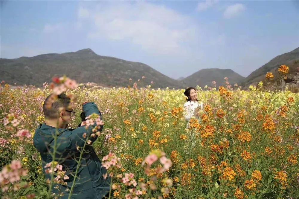 美如畫象山海島五彩油菜花田霸屏踏青賞花請收好下週的晴雨表