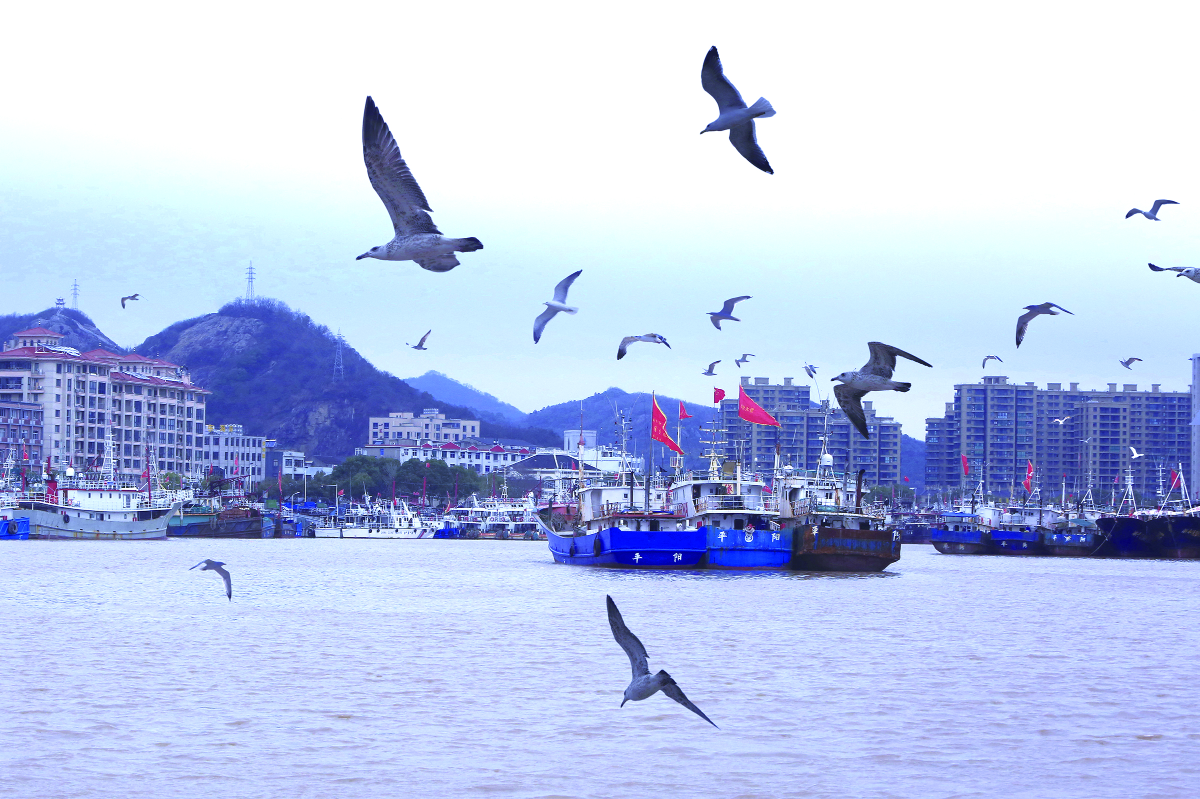 (特约记者 谢定伟)