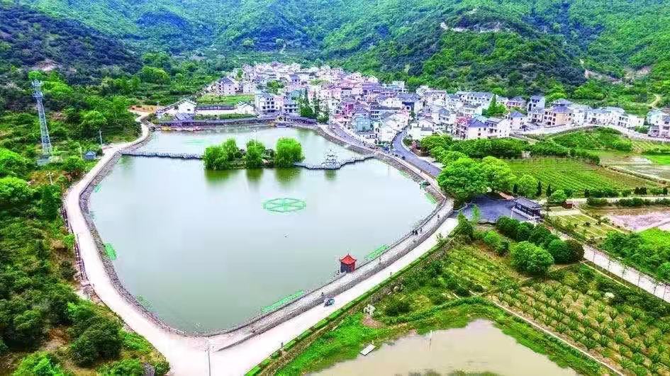 丈量象山最美海岸线| 满窗春绿更山光——探访泗洲头镇墩岙村