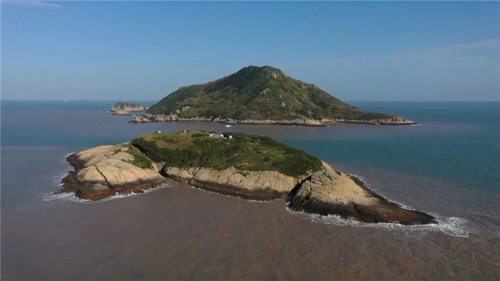 快来看,这里有"神话之鸟",象山启动新一轮招引保育