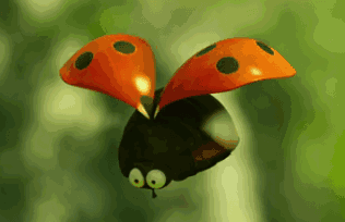 观察小昆虫喂养小鸡,小鹅拿上锄头,亲自采摘蔬果在这里,你可以和孩子