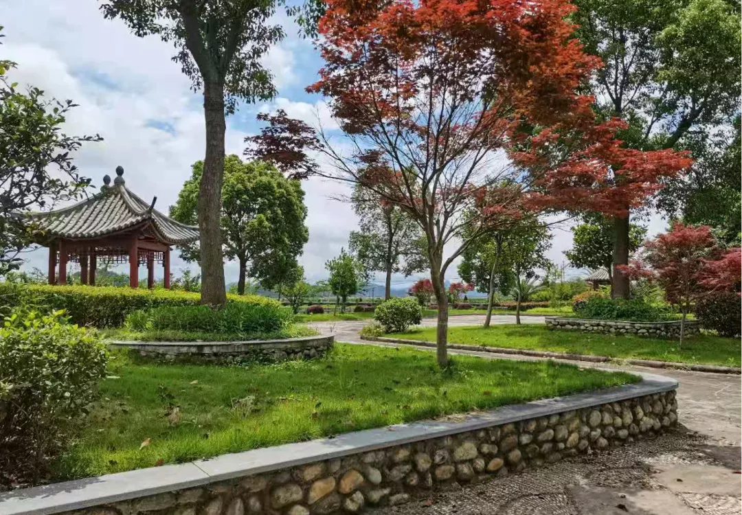 优秀象山泗洲头镇获评浙江省森林城镇