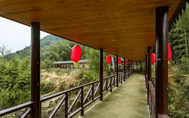 中国妇女报聚焦象山方家岙墙头花开蔷薇笑民宿带动共富来