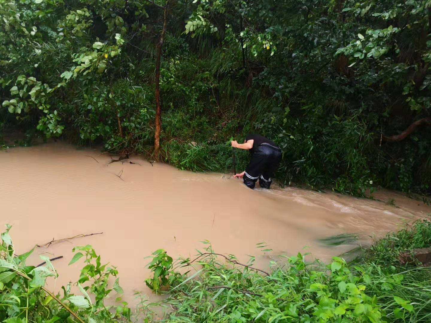 在茭道鎮董村,暴雨如注,村中一處池塘即將滿溢,村幹部不顧自身安危