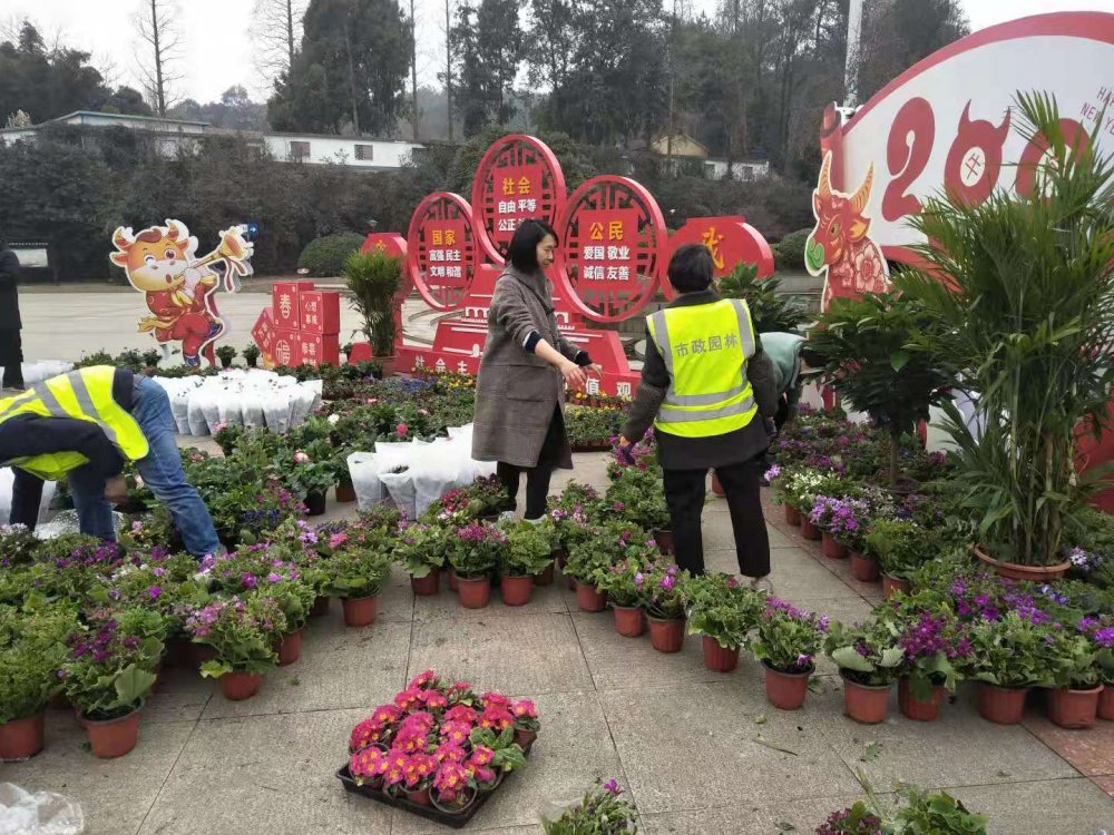 網絡中國節擺花布景添年味扮靚城市賀新春