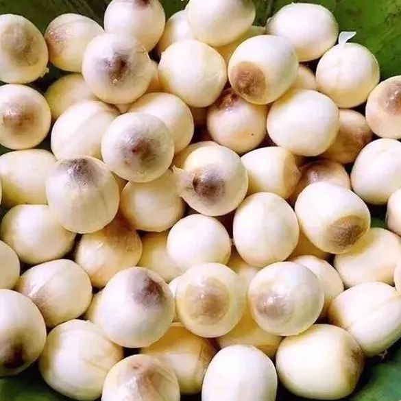 万元大奖等你拿县中药材武七味标识作品有奖征集