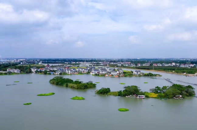 海盐县于城镇巩固园林城镇成果夯实美丽城镇基础
