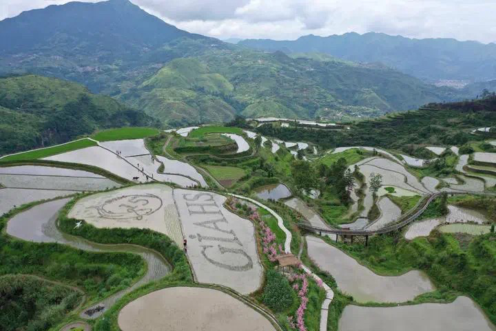 青田小舟山鄉培育農旅融合新業態拓展兩山轉化新通道