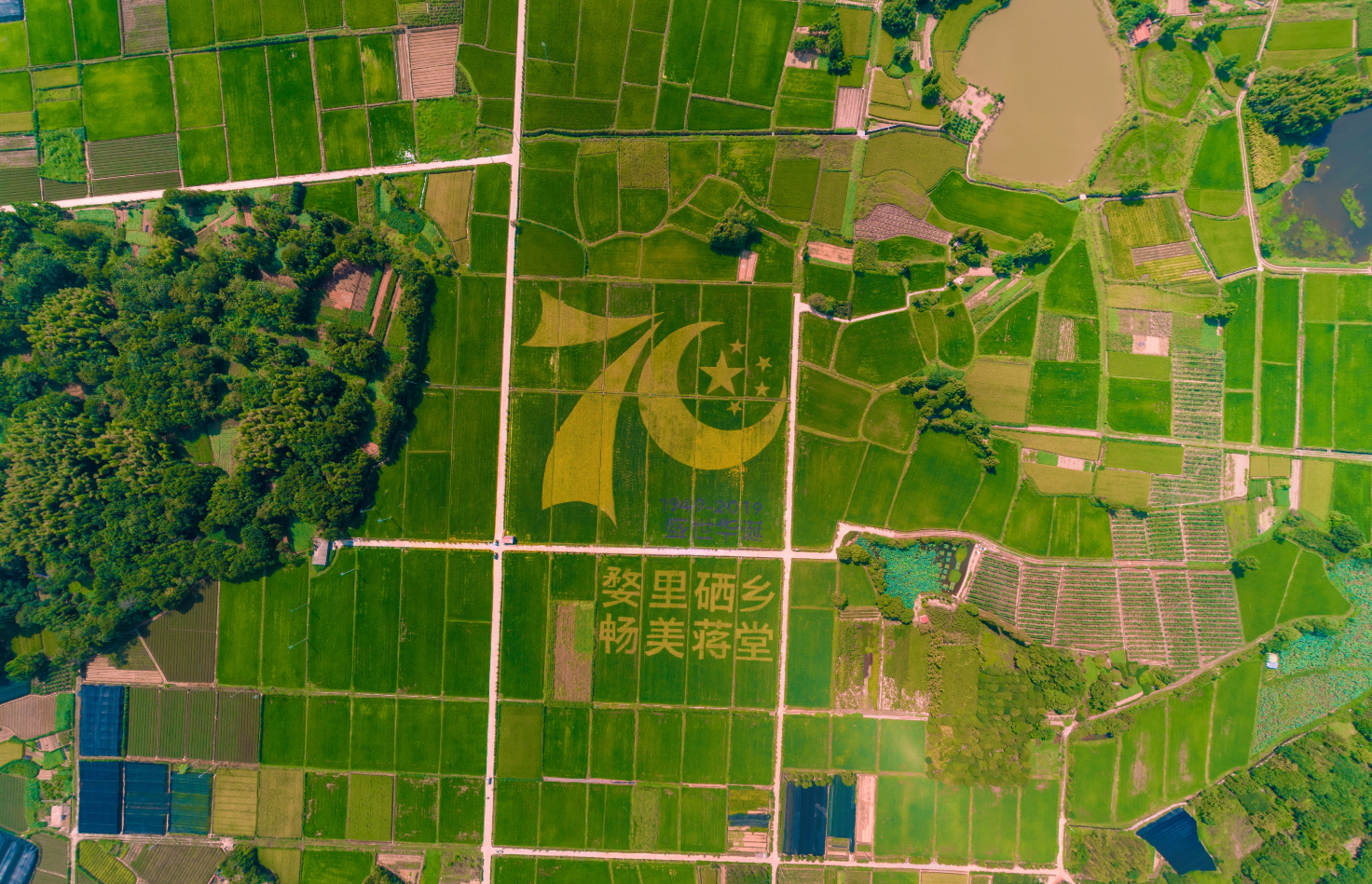 婺城区蒋堂镇发展现代农业为美丽城镇建设注入新动能