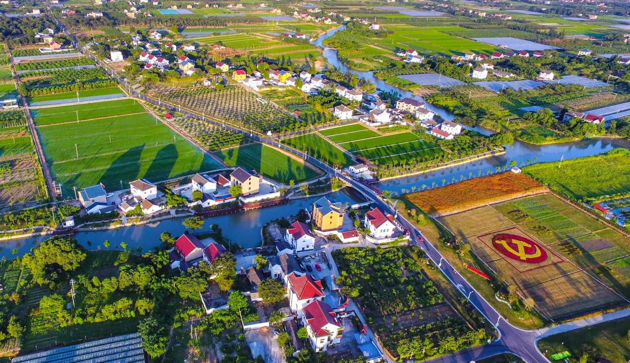 争创农业特色型美丽城镇样板镇凤桥在行动