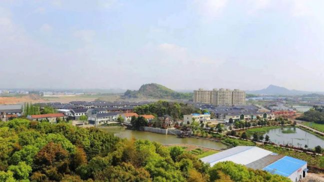 养气质铸根魂鼓腰包德清洛舍加速推进城乡融合美丽城镇