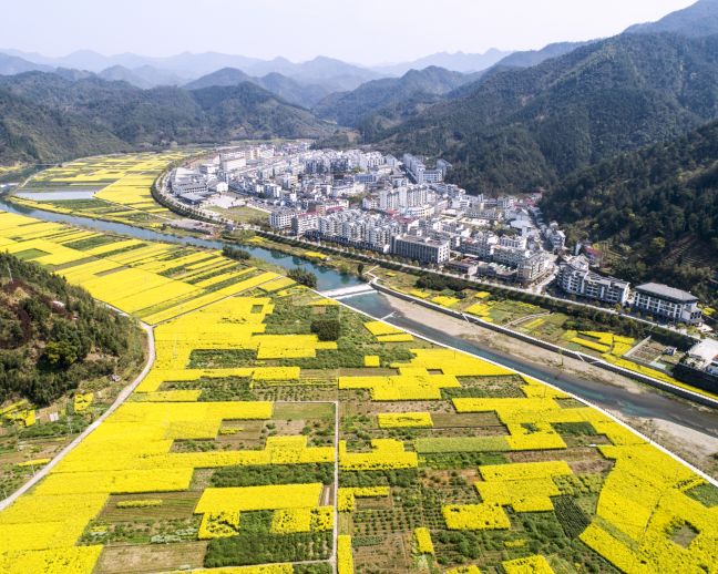 抓实环境美力促生活美临岐镇精细化管理助力打造美丽城镇