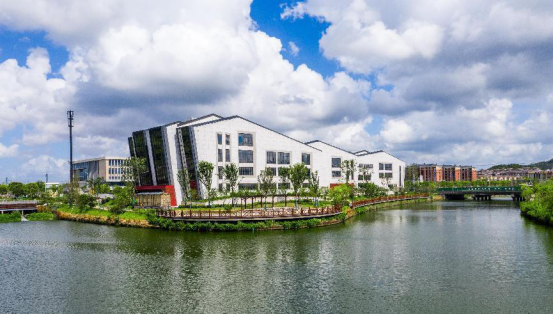 黄湾镇高歌猛进向上而行坚定走好美丽城镇蝶变路