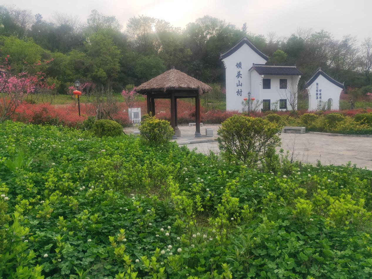 绍兴市越城区皋埠街道抓产业谋创新优化美丽城镇发展驱动